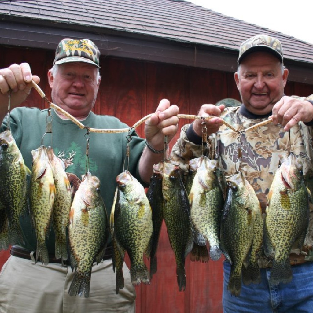 Rainy Lake Crappie Fishing near Camp Narrows Lodge in Ontario Canada